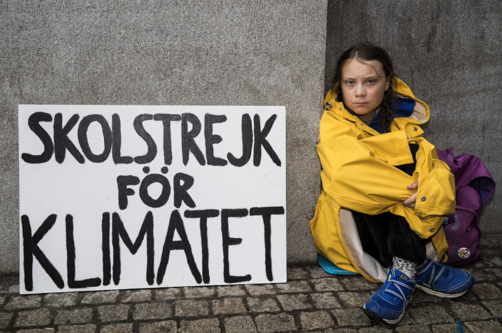 The Thunberg Effect: Social Media in her Fight Against Climate Change