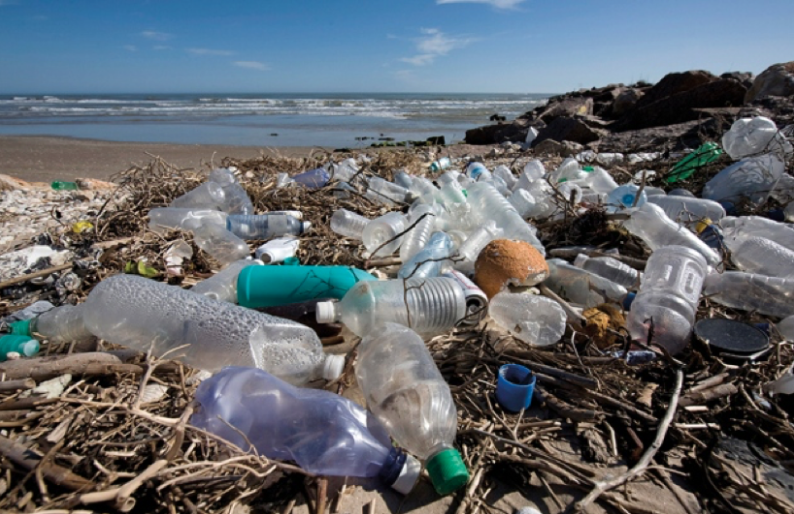 Plastics in the environment