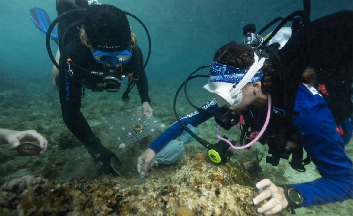 Deep underwater, Tamara carefully uses cement to attach the coral to the ocean's surface.