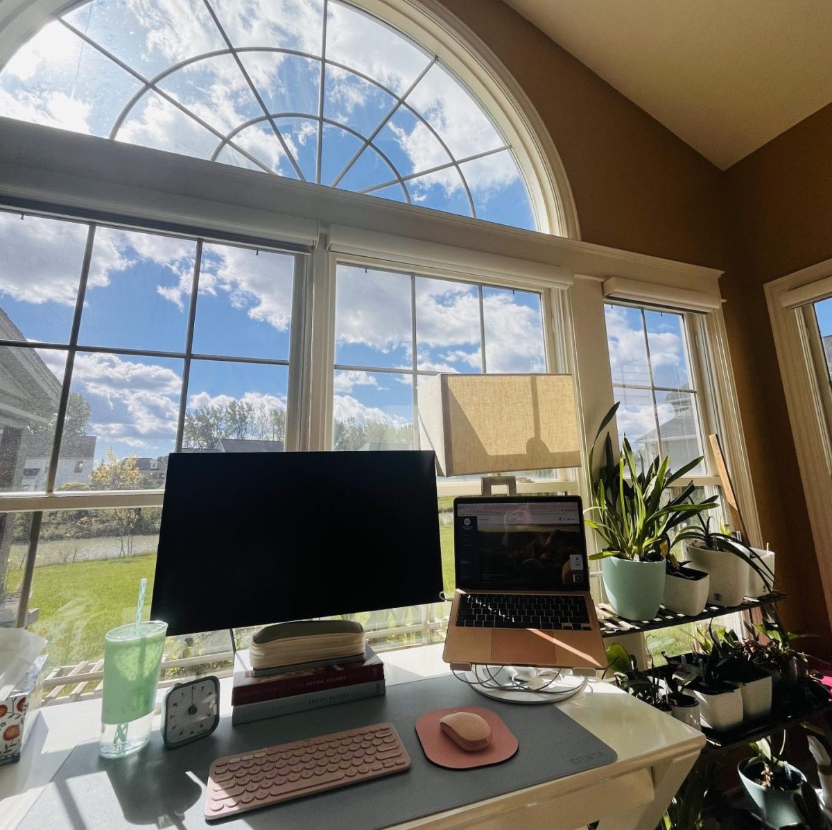 Beside a row of houseplants, junior Audrey B. set up her desk by the windows of her sunroom. 