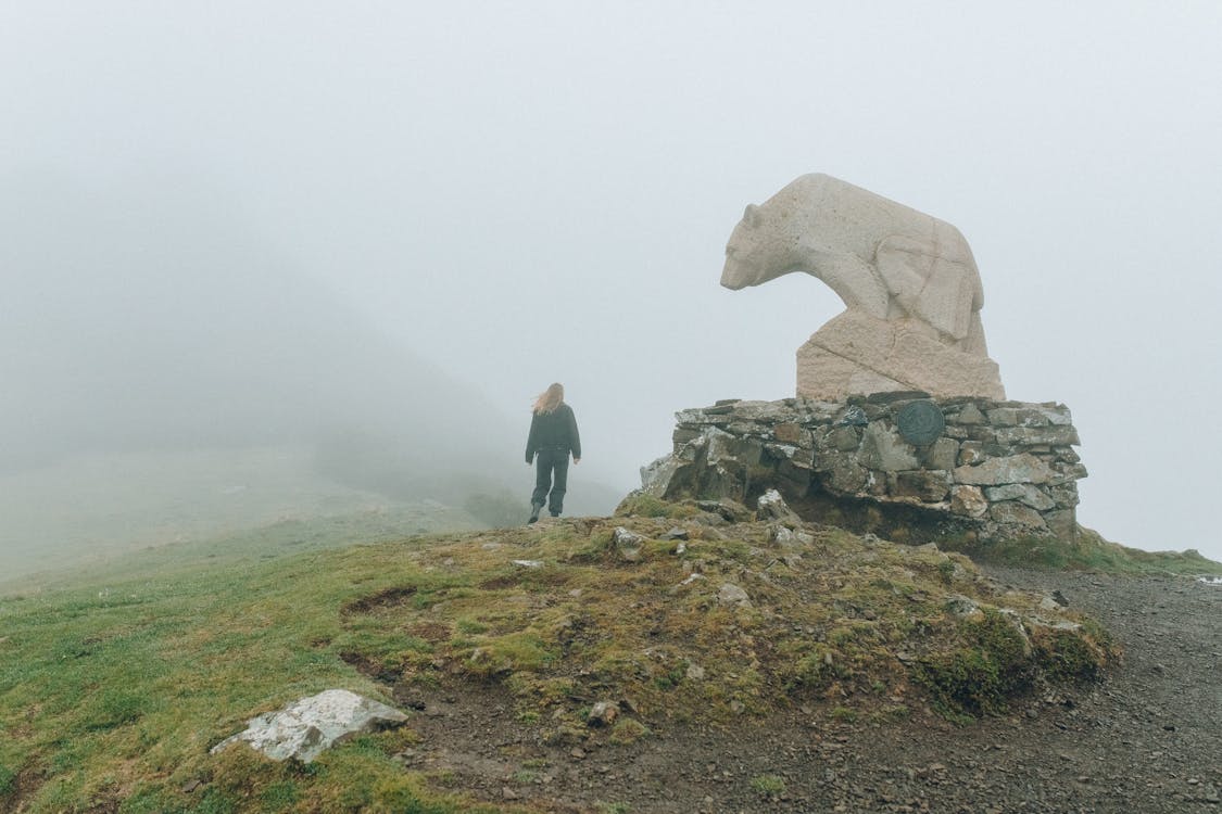 man v bear photo